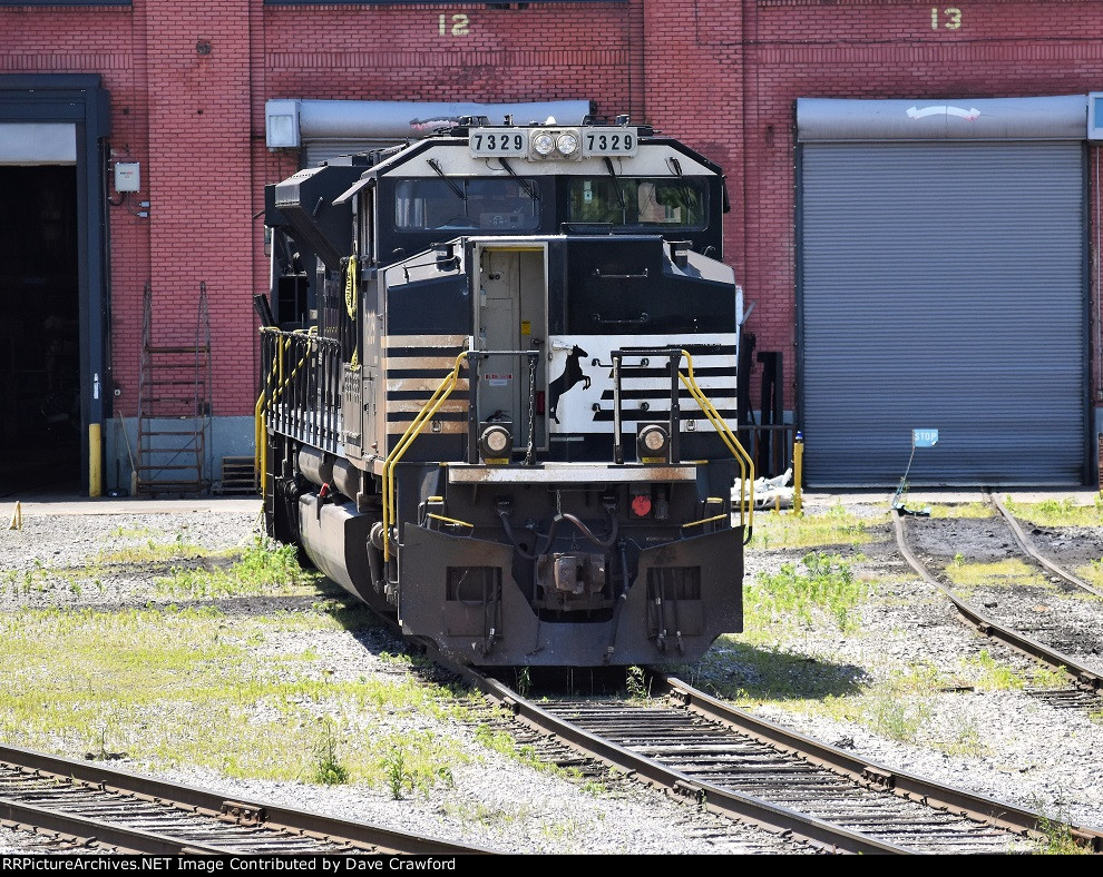 NS 7329